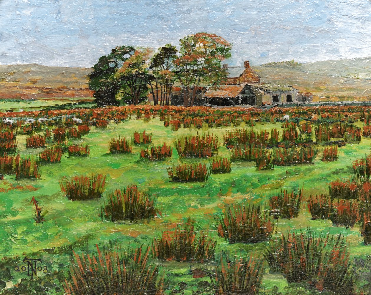 Farma Kumbria, 2008 autorstwa Trevor Neal