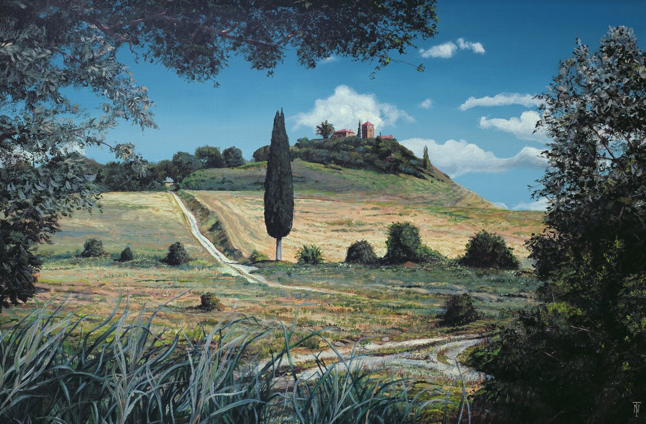 Lollipop Tree, Umbria, 1998 autorstwa Trevor Neal