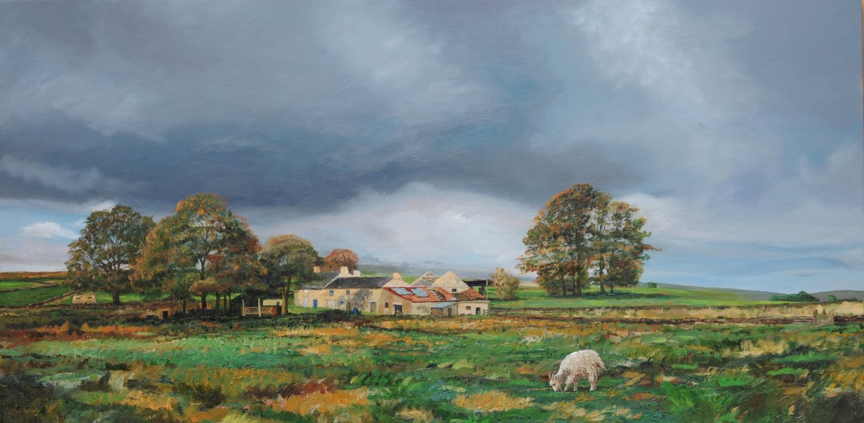 Stara farma, Monyash, Derbyshire, 2009 autorstwa Trevor Neal