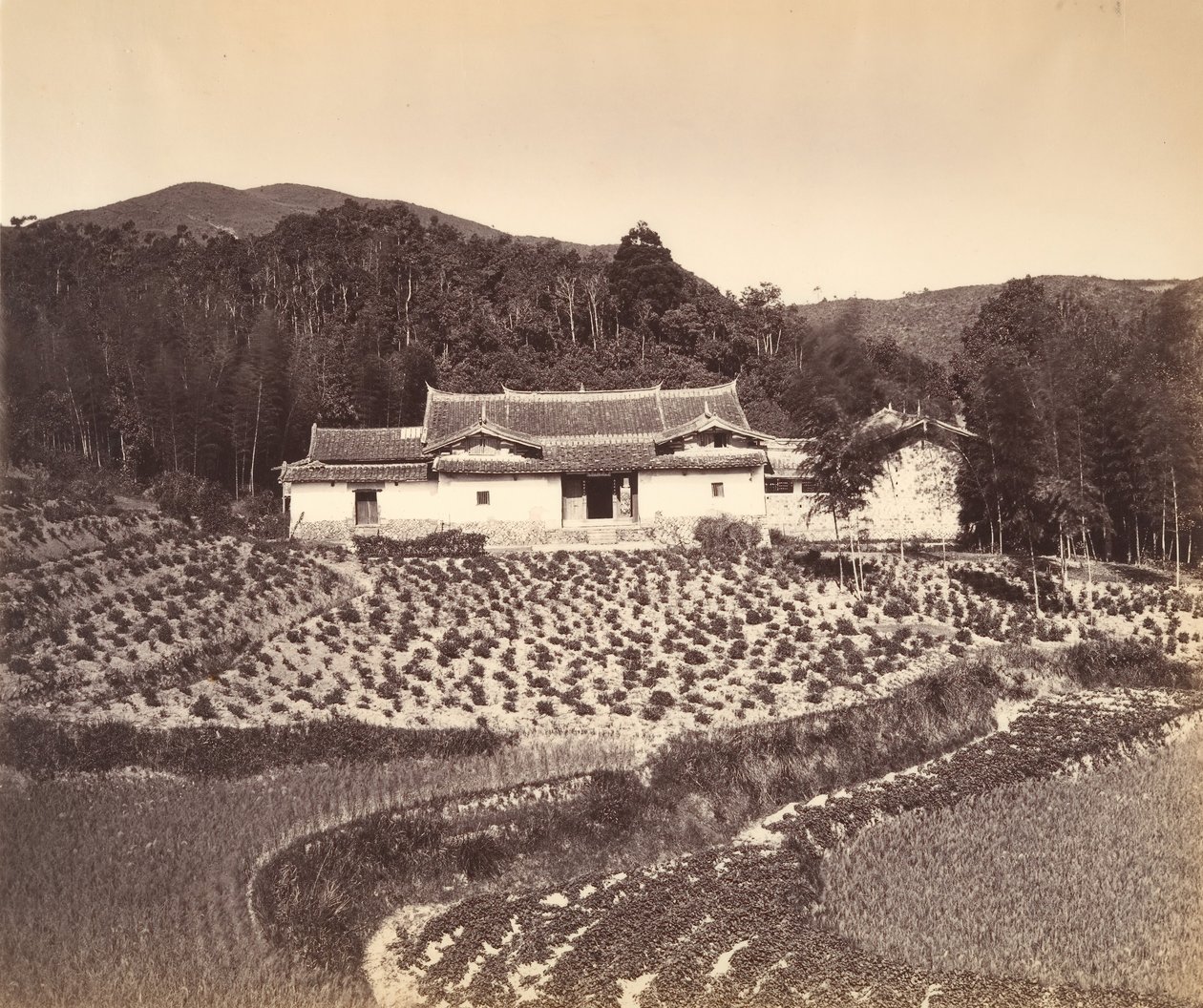 Teafield & Josshouse w Peling, ca. 1869. autorstwa Tung Hing.