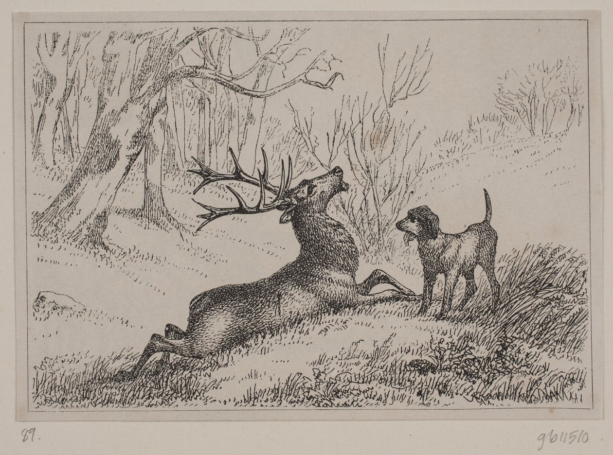 Ilustracja do wiersza „Hjorten” Gotfreda Rode autorstwa Ubekendt