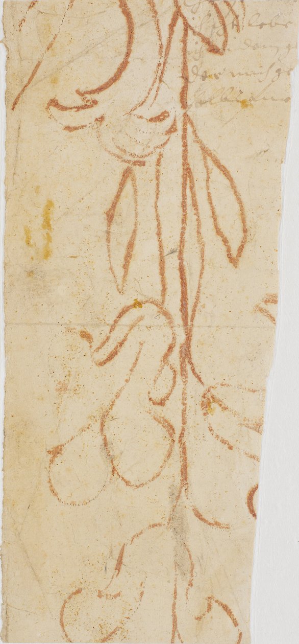 Planteornament (fragment) autorstwa Ubekendt KKSgb7383