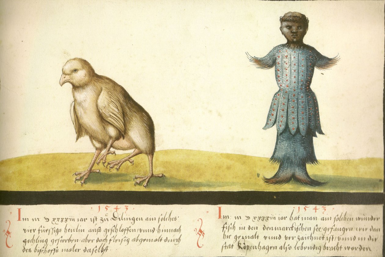 Folio 145- Cudowny Kurczak i Cudowna Ryba 1543 autorstwa Unbekannt Unbekannt
