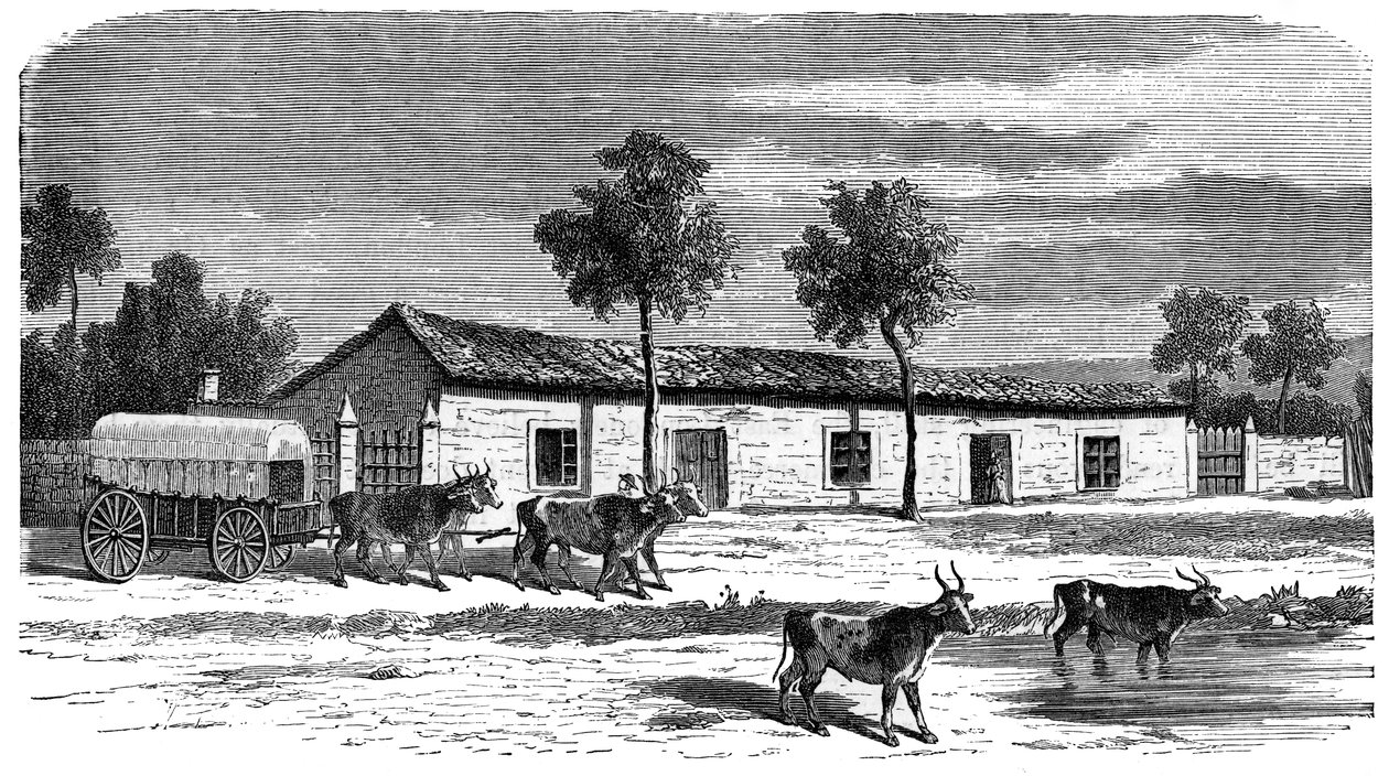 Farma Burów, Republika Południowej Afryki, ok. 1890 r. autorstwa Unbekannt