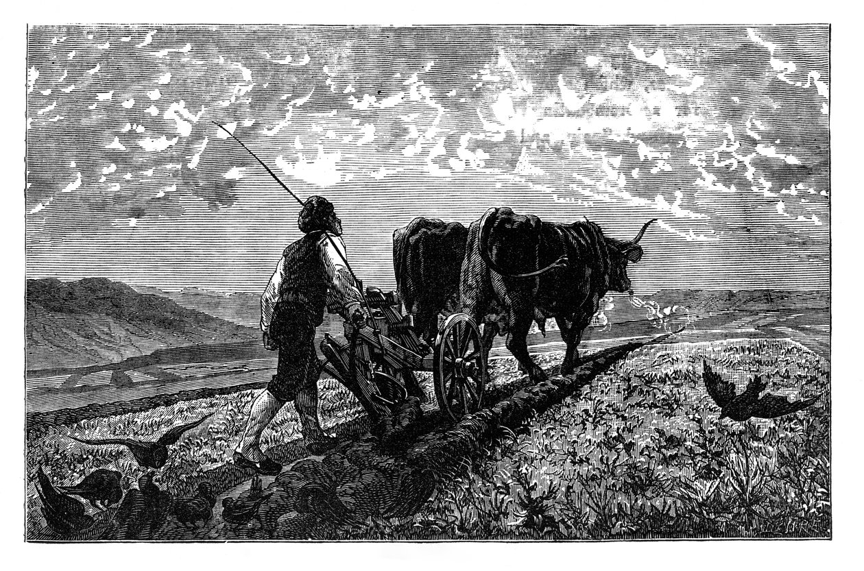 Rolnik francuski, ok. 1890 r. autorstwa Unbekannt