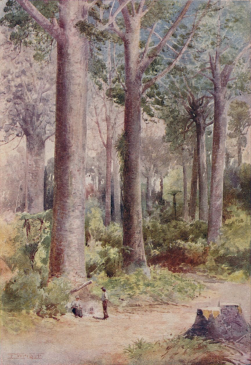 Las Kauri, 1923. autorstwa Unbekannt