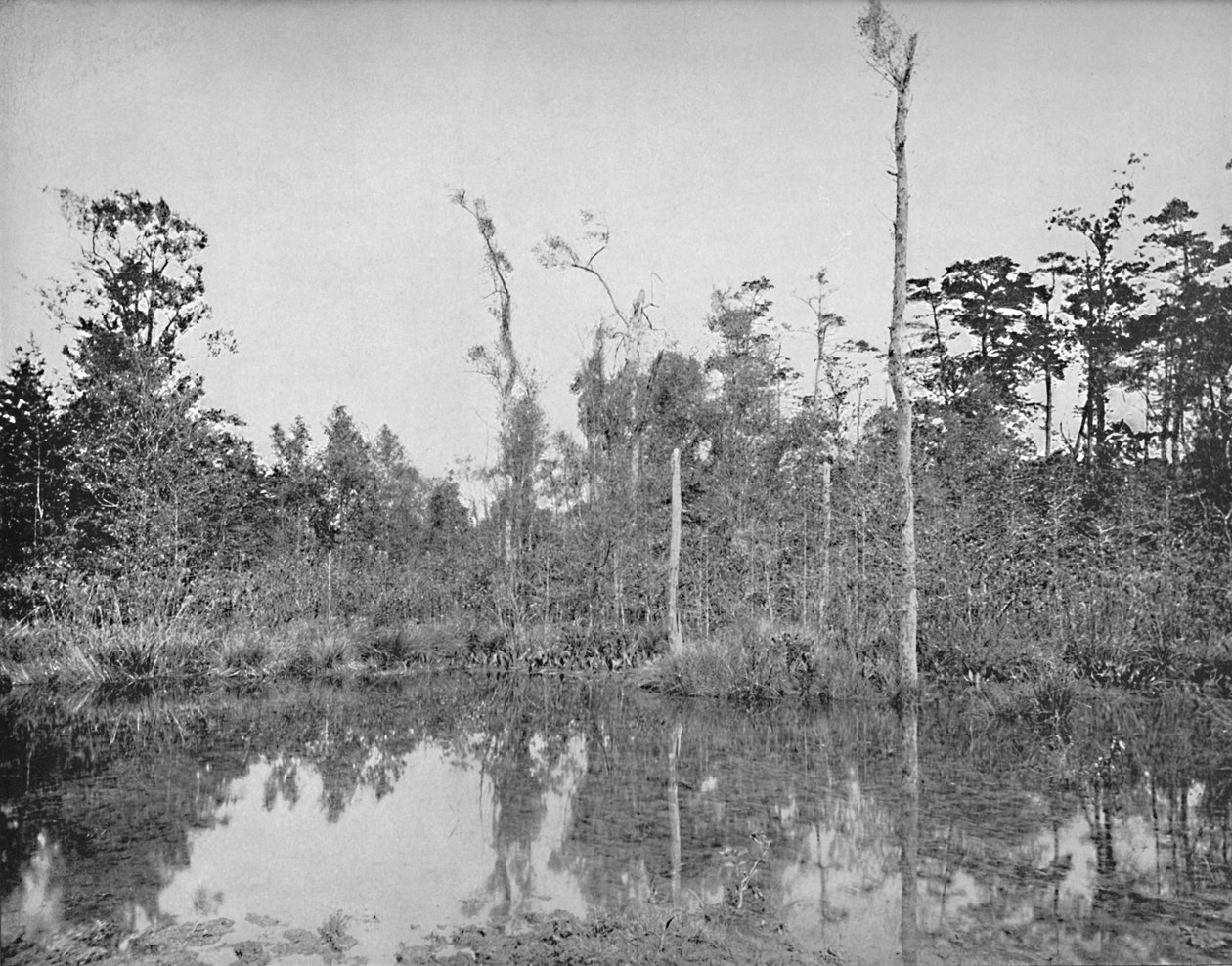Bagno Luizjany, ok. 1897 r. autorstwa Unbekannt
