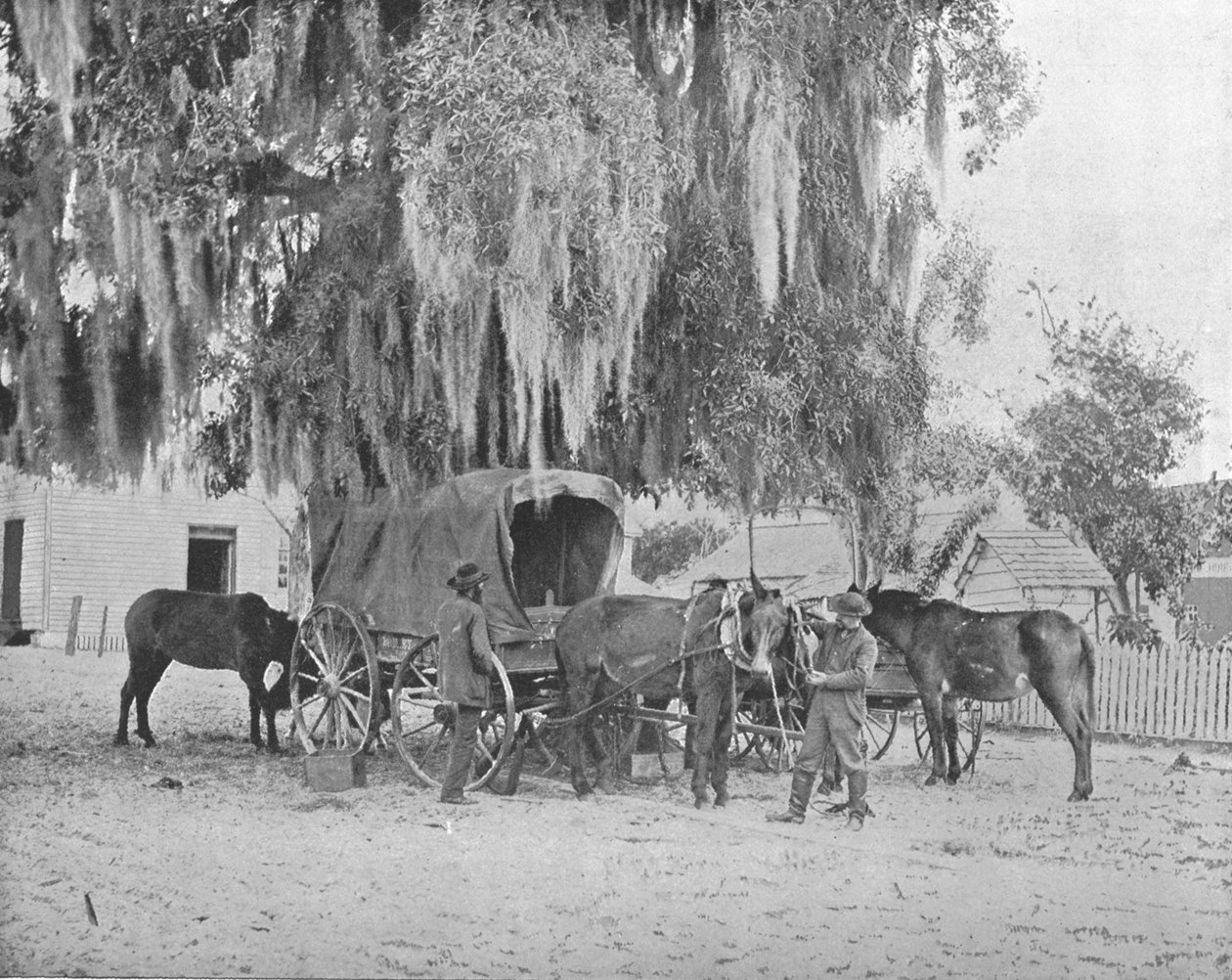 Kupiec z San Antonio w Teksasie, USA, ok. 1900. autorstwa Unbekannt