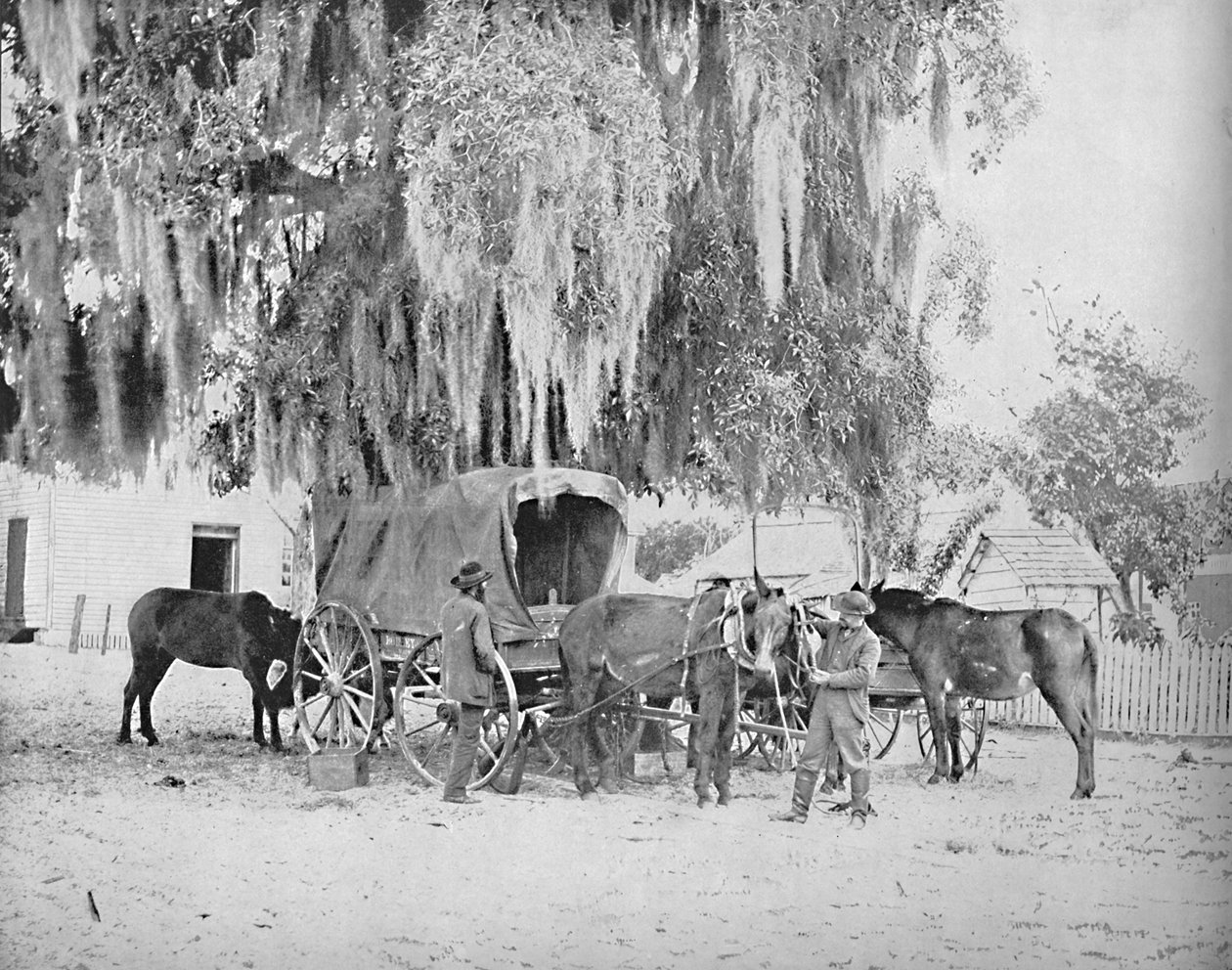 Kupiec z San Antonio w Teksasie, c1897. autorstwa Unbekannt