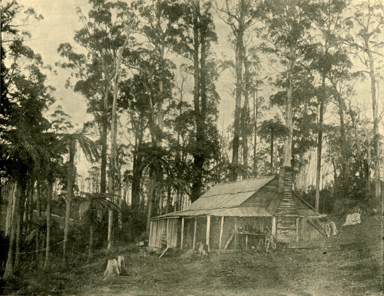 Mieszkanie w stylu rustykalnym, 1901. autorstwa Unbekannt