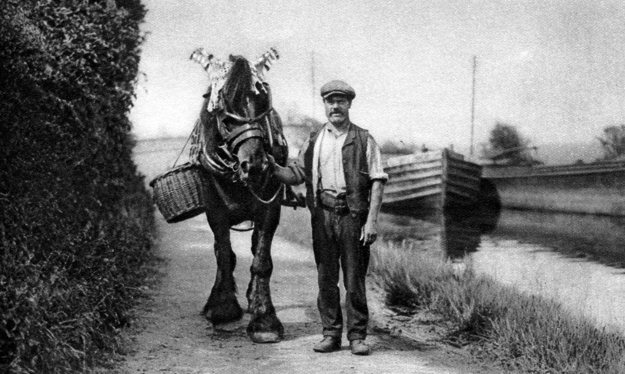 Koń ciągnący barkę, 1926-1927 autorstwa Unbekannt
