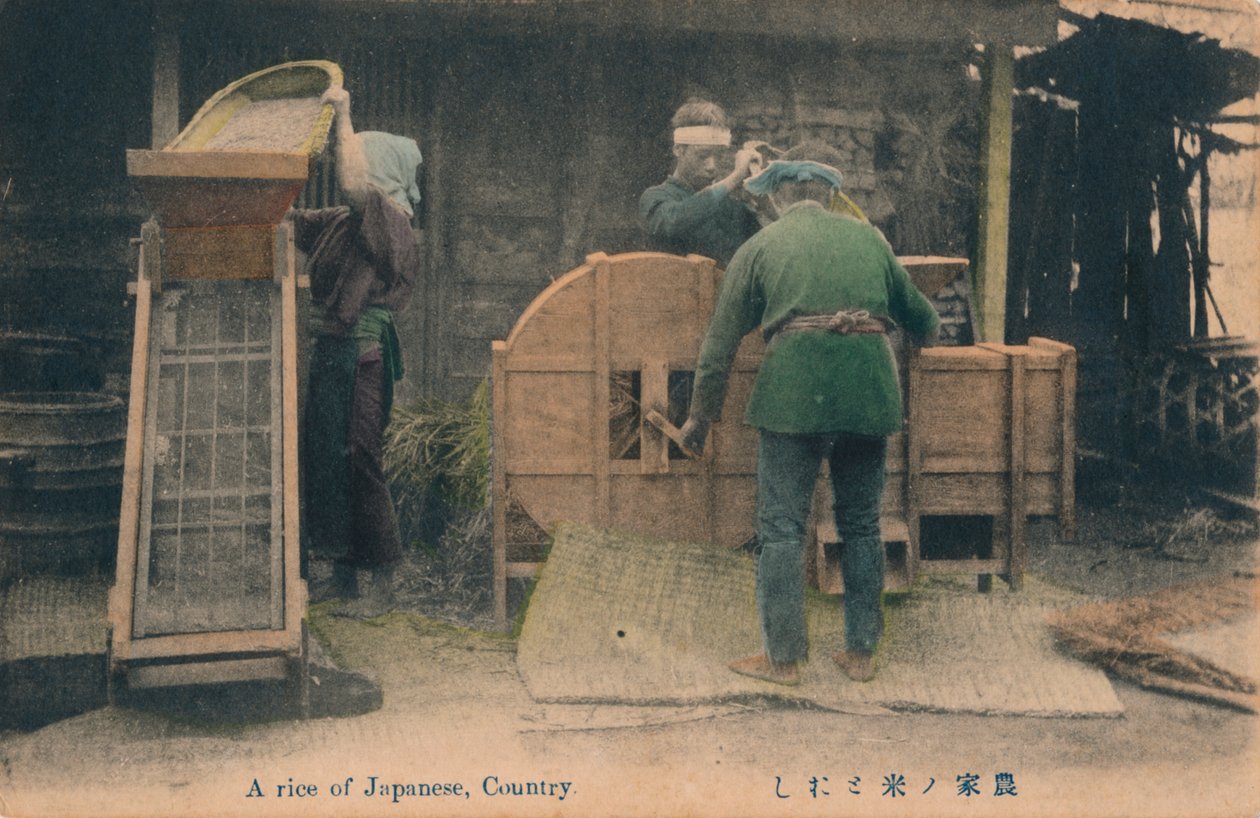 Ryż japoński, Kraj, ok. 1910 r. autorstwa Unbekannt