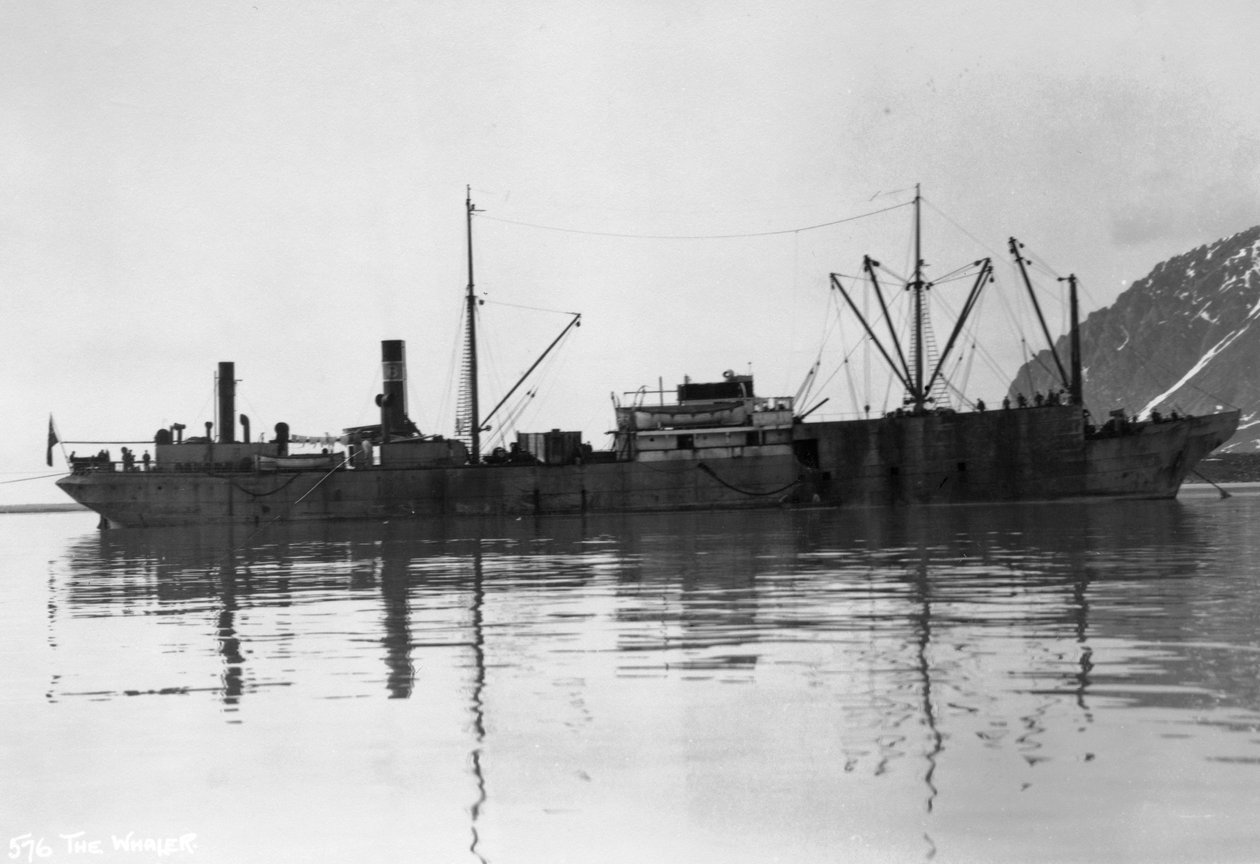 Wielorybnik, Magdalene Bay, Spitzbergen, Norwegia, 1929 autorstwa Unbekannt