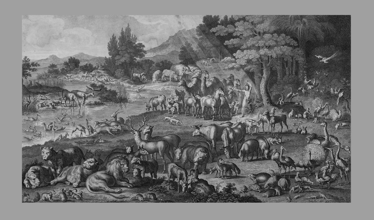 Adam nadający imię Stworzeniu, 1818. autorstwa Unbekannt