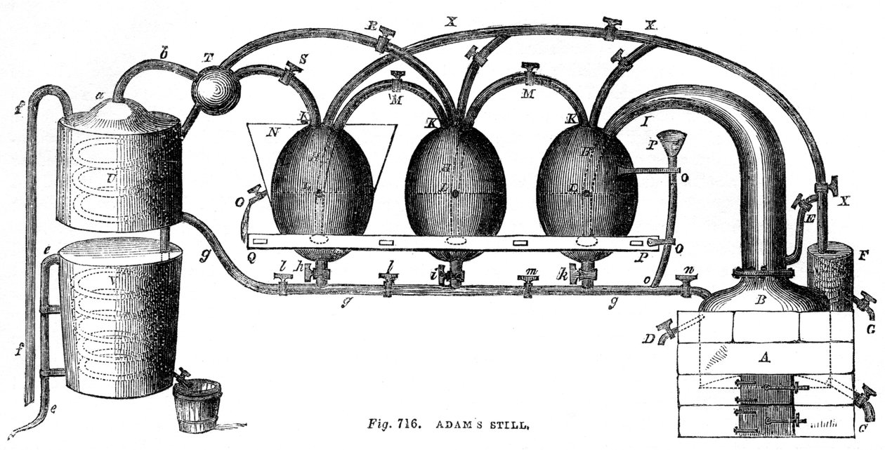 Adams nadal, 1886 autorstwa Unbekannt