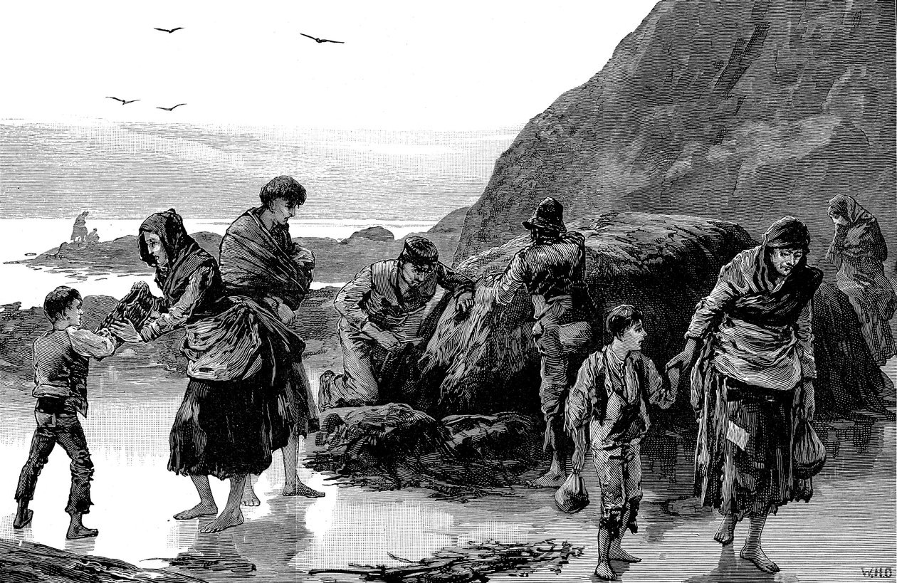 Następstwa głodu, Irlandia 1840, 1886 autorstwa Unbekannt
