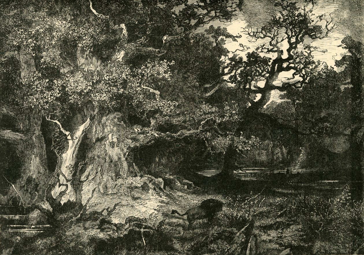Stary las niemiecki, 1890. autorstwa Unbekannt