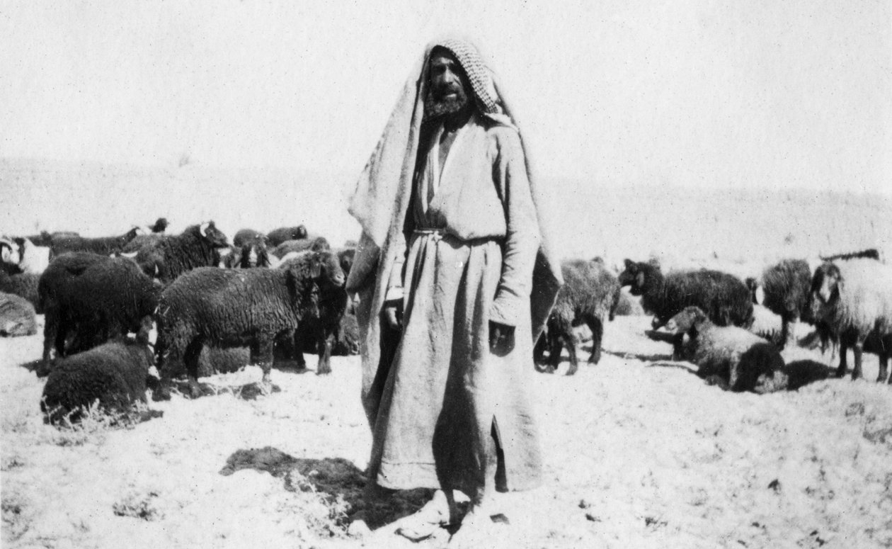Owczarek arabski, okolice Kazimain, Irak, 1917-1919 autorstwa Unbekannt