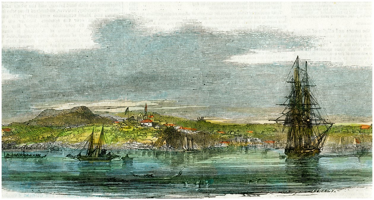 Auckland, Nowa Zelandia, ok. 1880 r. autorstwa Unbekannt