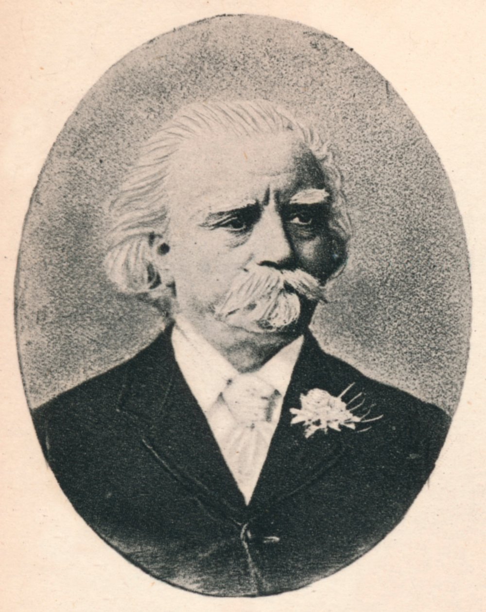 Sierpień Mann., 1895 autorstwa Unbekannt