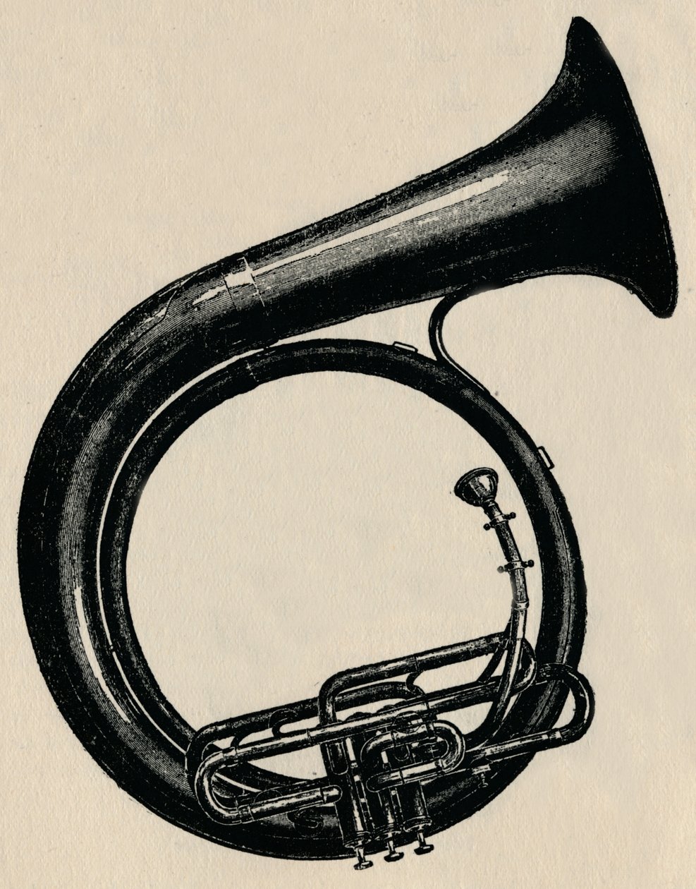 BB Circular Bass, 1910. autorstwa Unbekannt