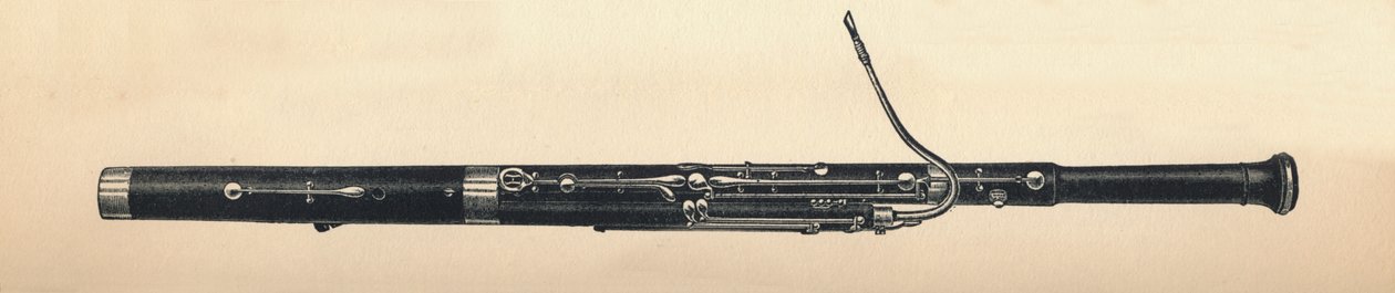 Fagot, 1895. autorstwa Unbekannt