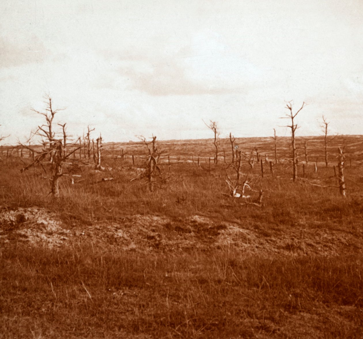Pole bitwy, Tahure, północna Francja, c1914-c1918 autorstwa Unbekannt