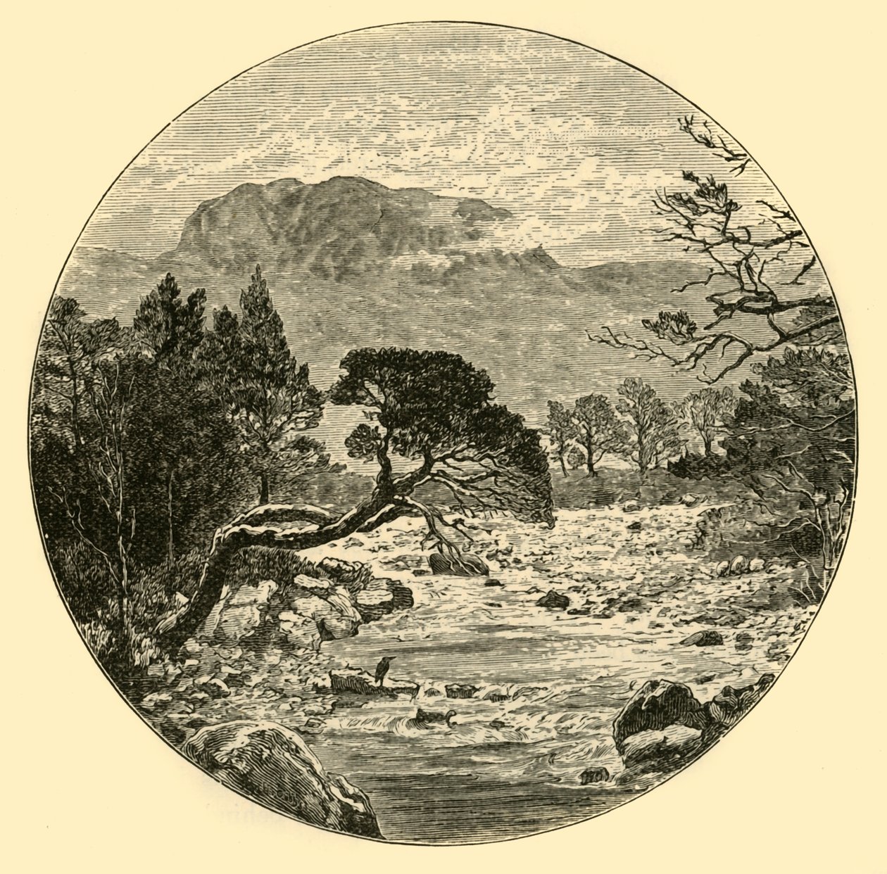 Ben Slioch, 1898. autorstwa Unbekannt