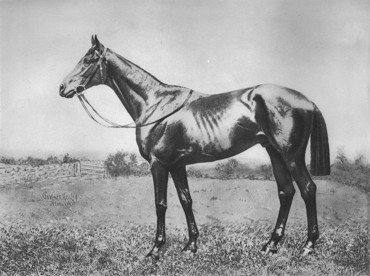 Czarna Strzała, 1911 autorstwa Unbekannt