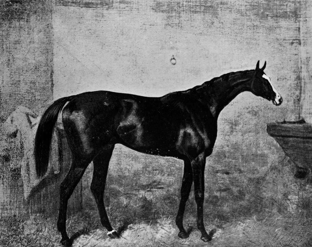 Blair Athol, 1861-1882, 1911 autorstwa Unbekannt