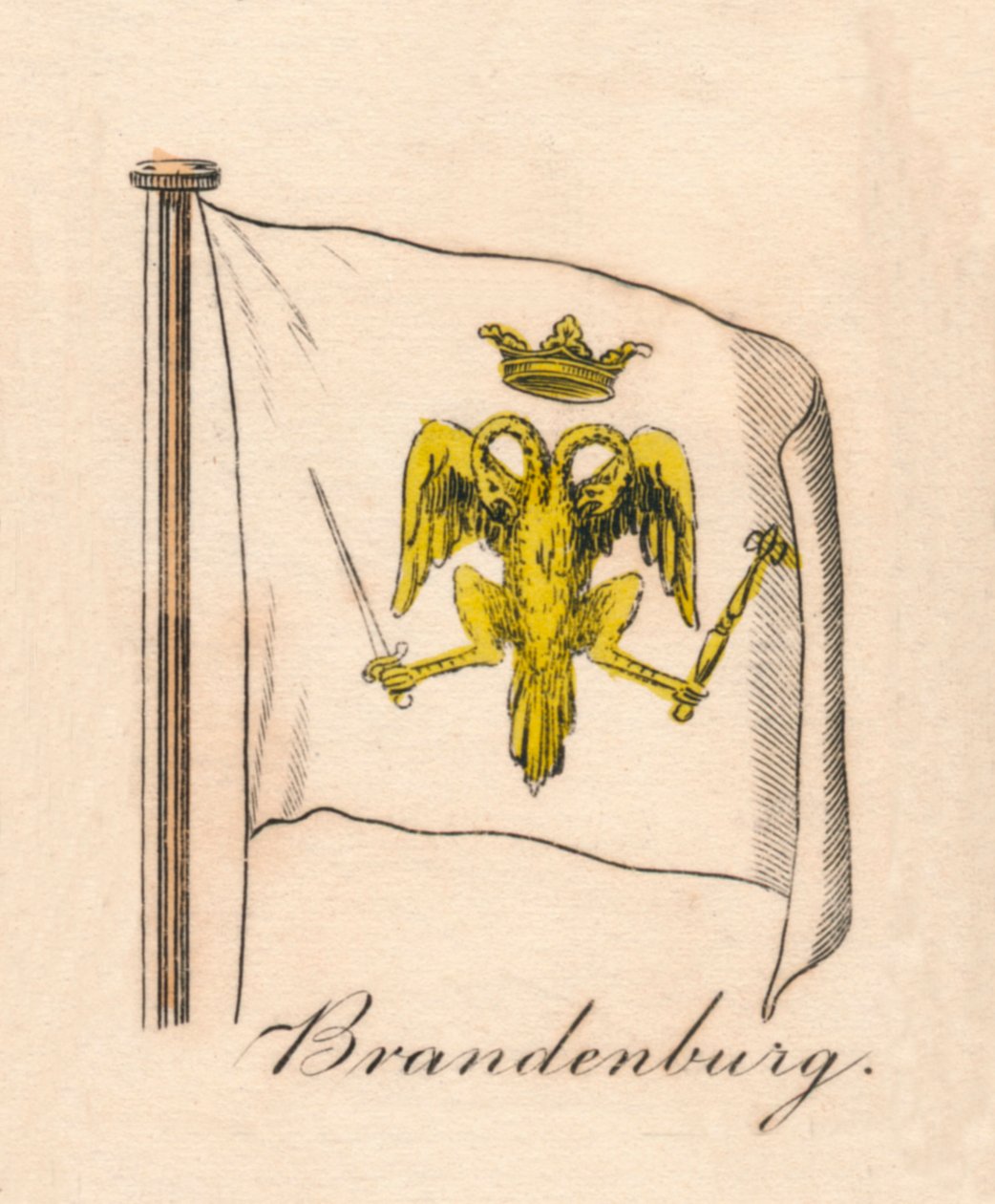 Brandenburgia, 1838 autorstwa Unbekannt