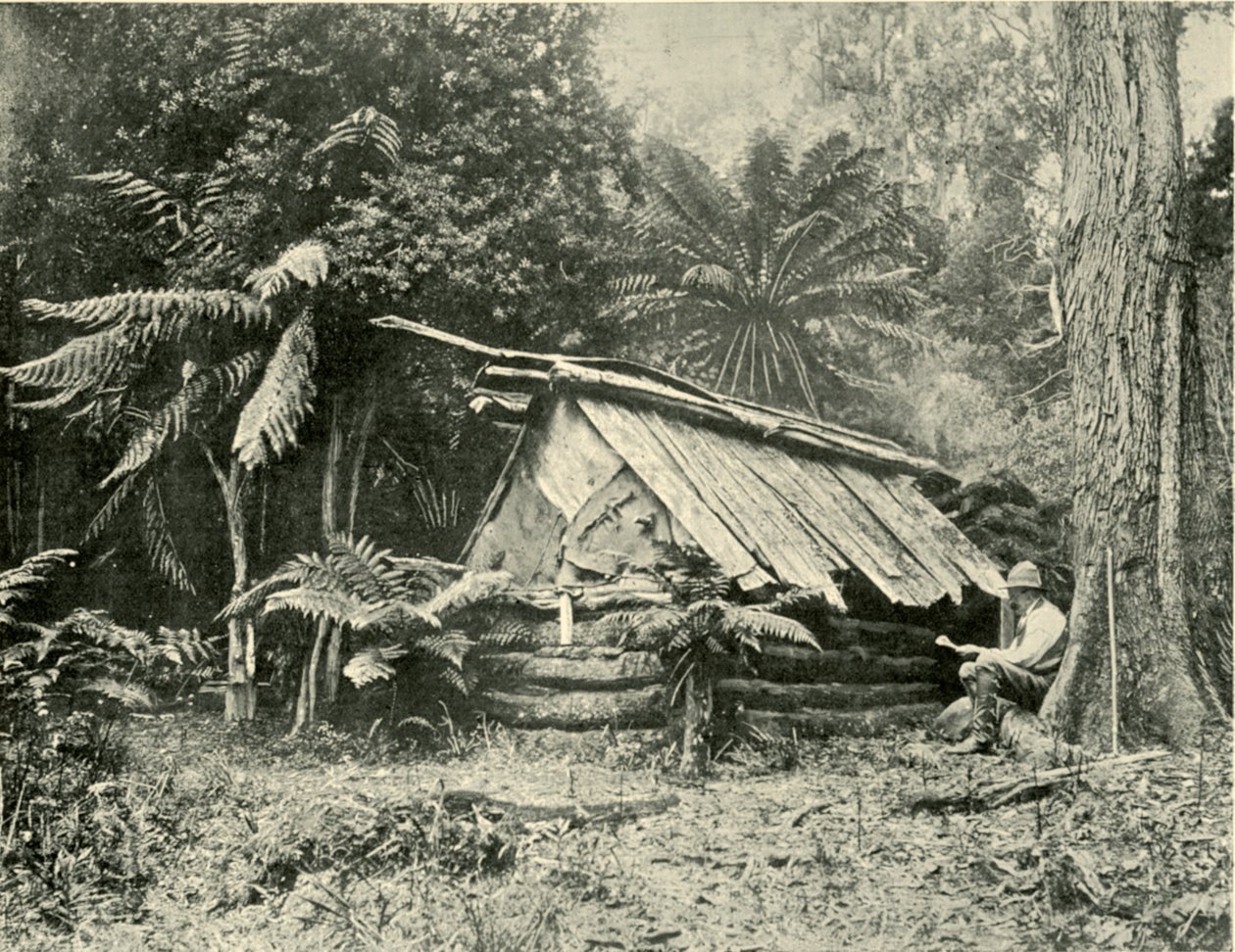 Bush Hut, Dandenong Ranges, Wiktoria, 1901. autorstwa Unbekannt