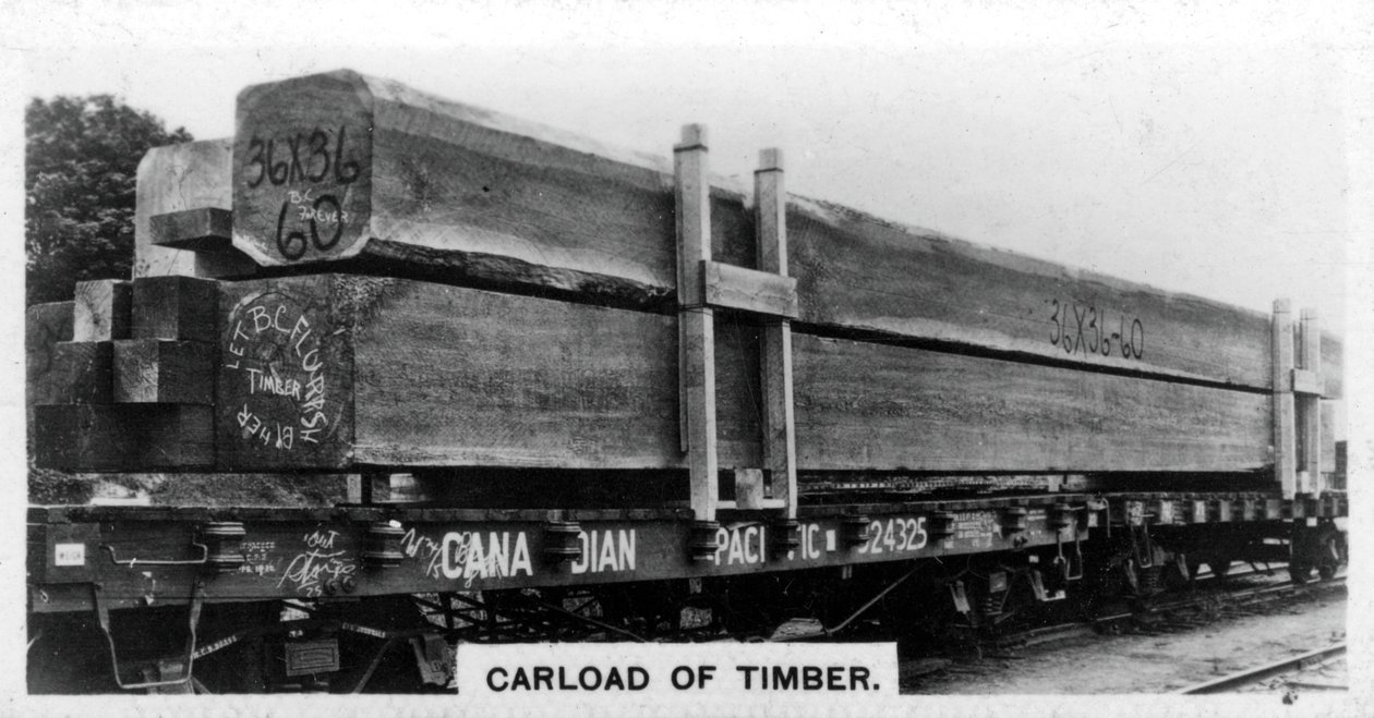Ładunek daglezji, Kanada, ok. 1920 r. autorstwa Unbekannt