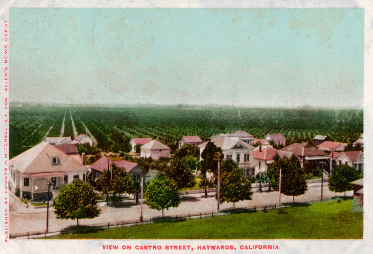 Castro Street, Hayward, Kalifornia, 1905 autorstwa Unbekannt