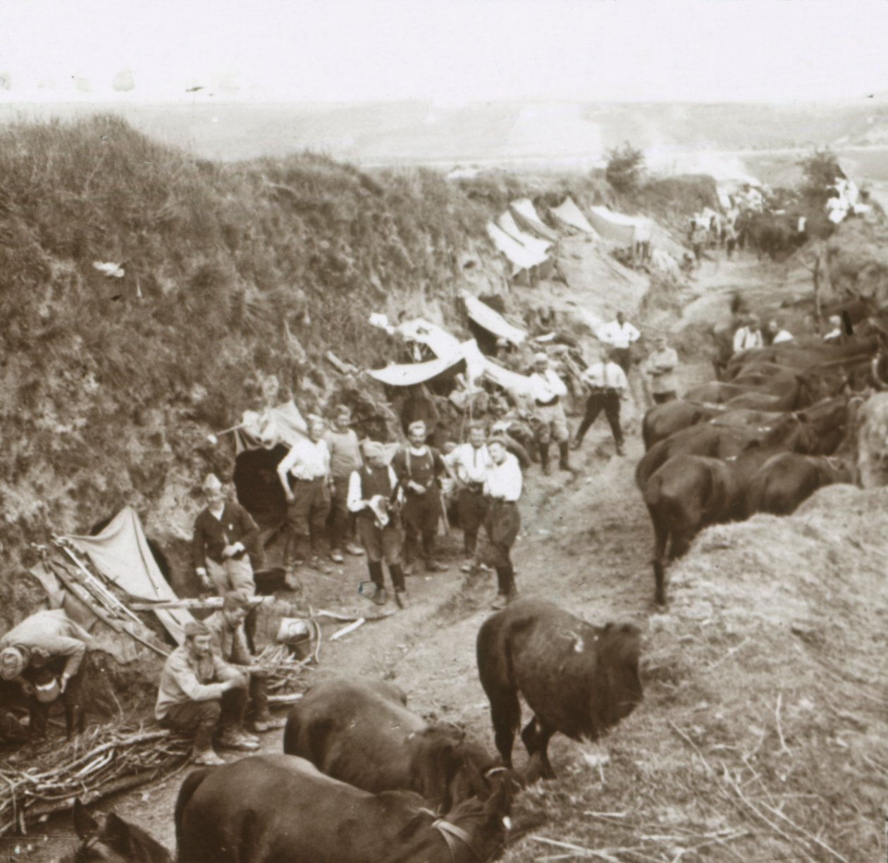 Kawaleria, c1914-c1918 autorstwa Unbekannt
