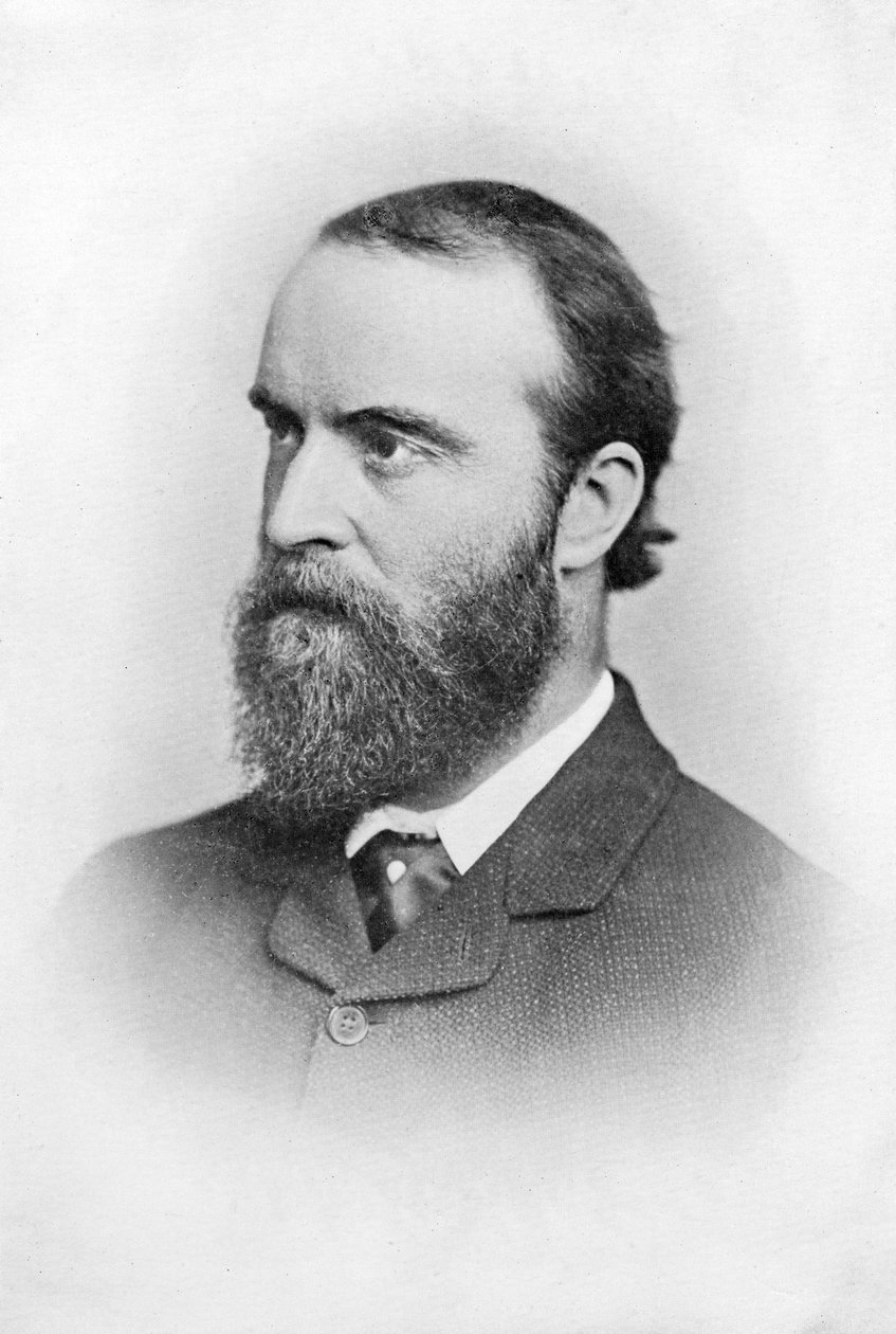 Charles Stuart Parnell, XIX-wieczny polityk irlandzki, c1874-1891 autorstwa Unbekannt
