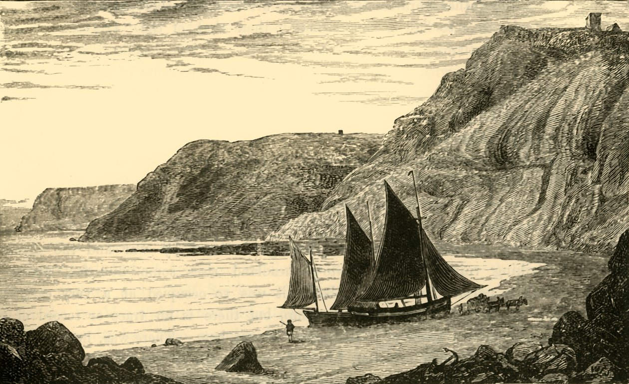 Klify w pobliżu Whitby, 1898. autorstwa Unbekannt