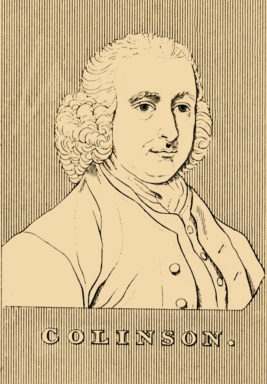 Collinson, 1694-1768, 1830. autorstwa Unbekannt