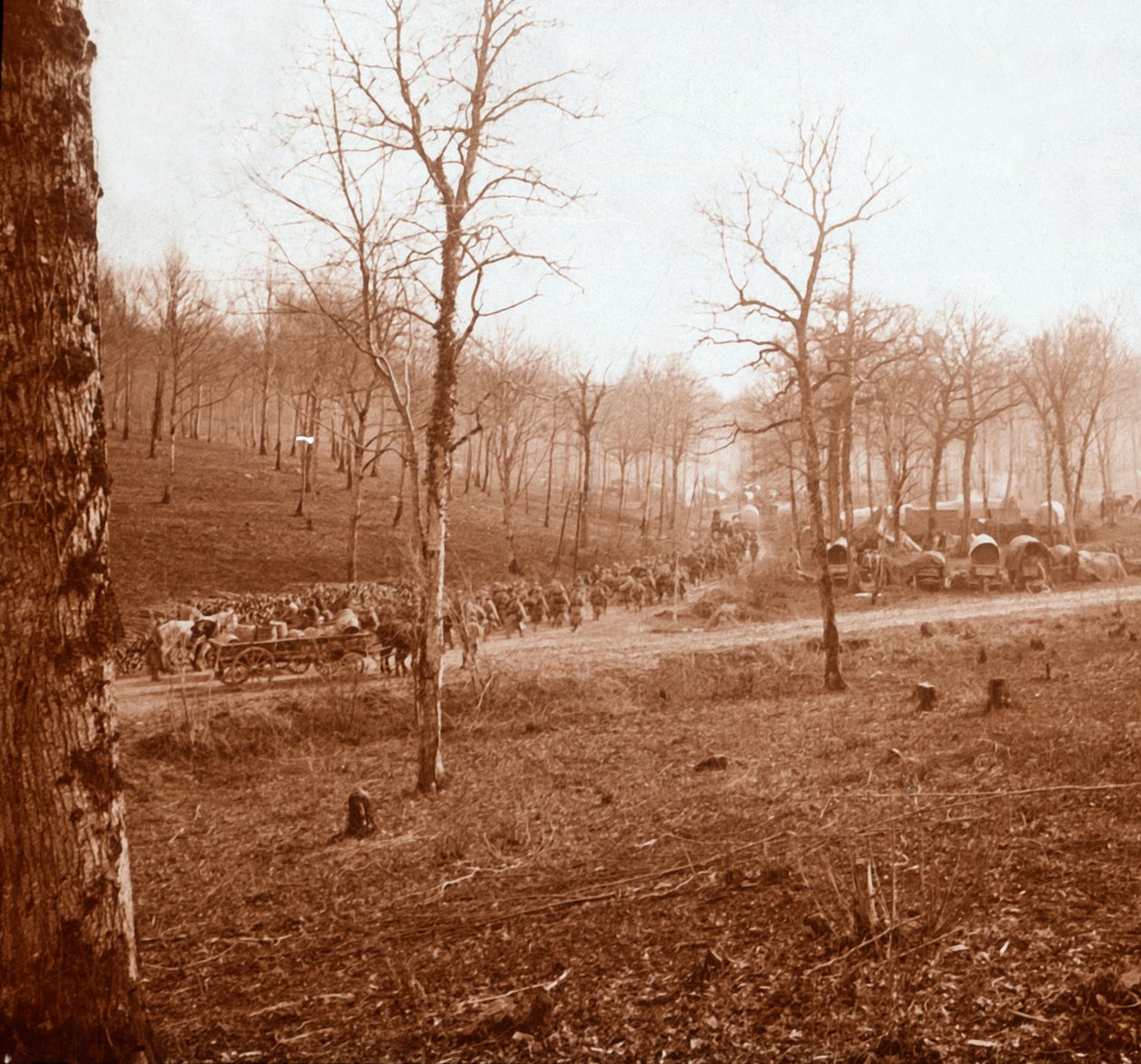 Kolumna wojsk, Genicourt, północna Francja, c1914-c1918 autorstwa Unbekannt