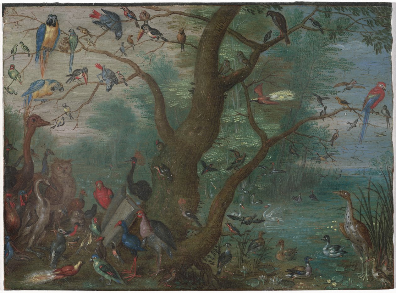 Koncert ptaków, 16601670. autorstwa Unbekannt