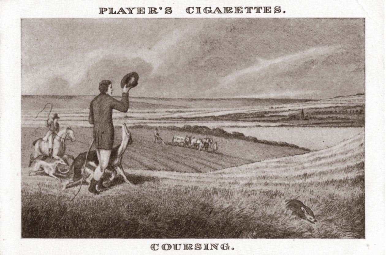 Coursing-1, 1924. autorstwa Unbekannt