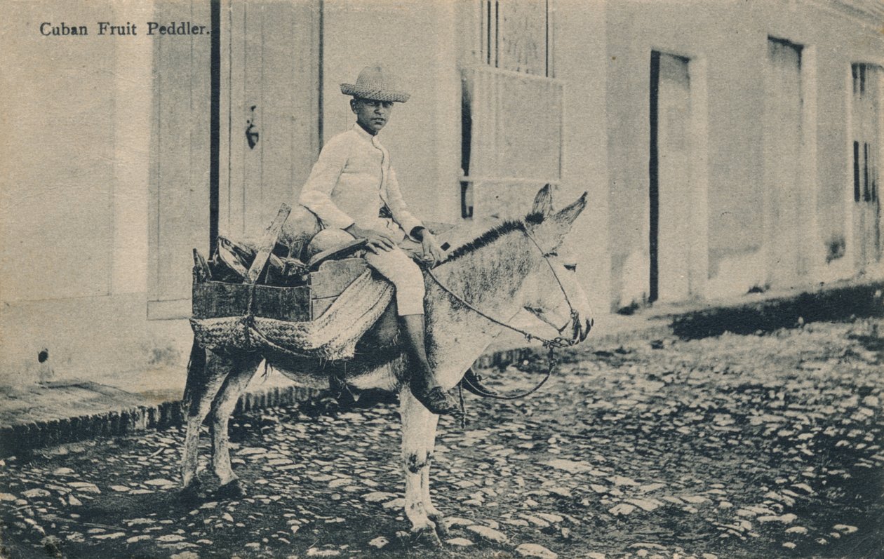 Kubański handlarz owocami, ok. 1908 r. autorstwa Unbekannt