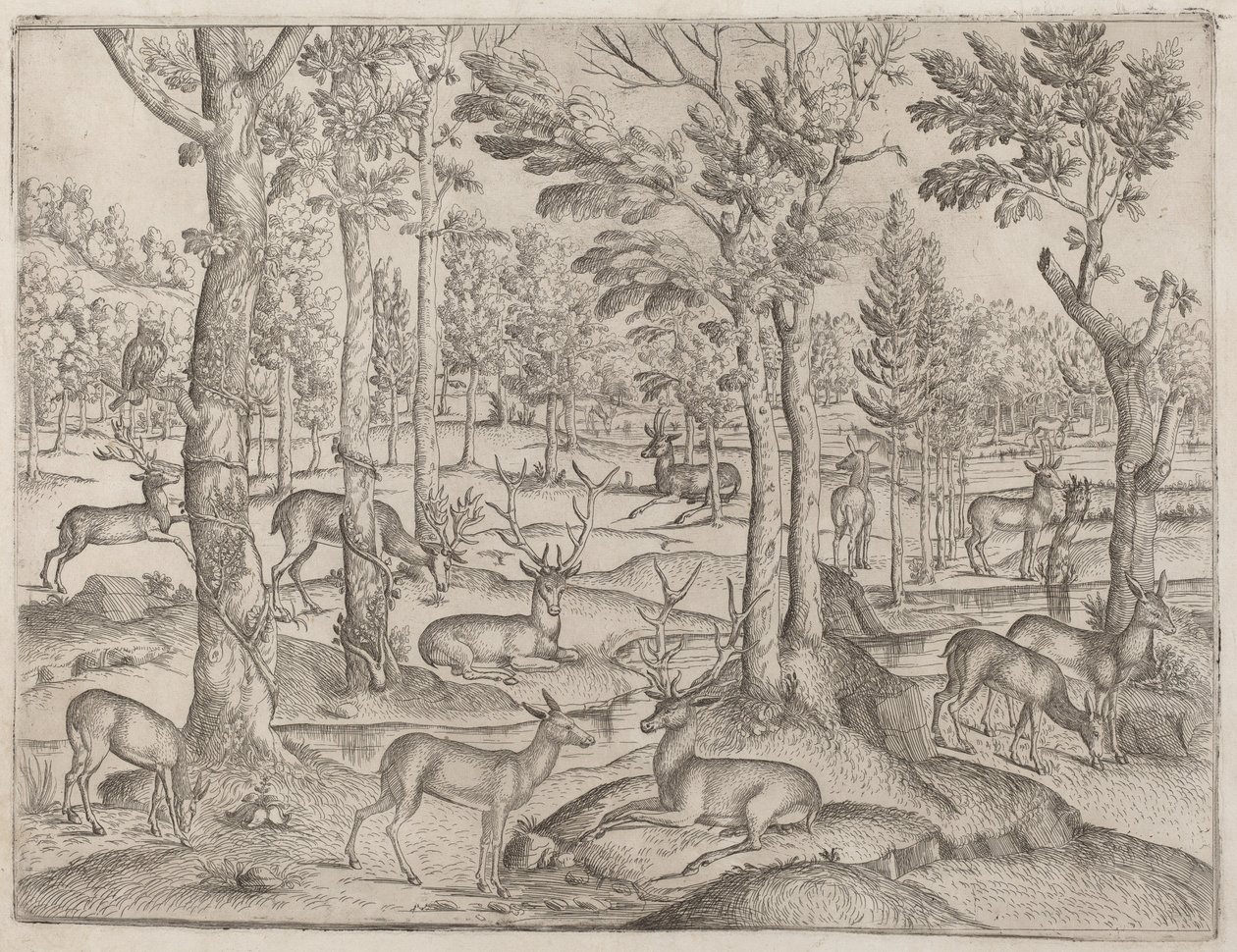 Jeleń w lesie, ok. godz. 1520. autorstwa Unbekannt