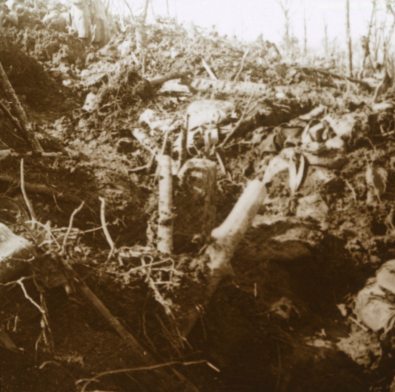 Zniszczony schron, Les Éparges, północna Francja, 1915. autorstwa Unbekannt