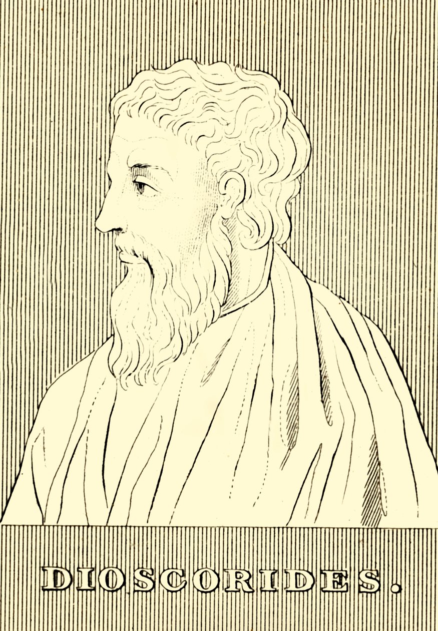 Dioscorides, c40-90 rne, 1830 autorstwa Unbekannt