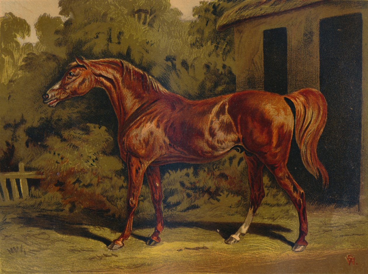 Zaćmienie, c1879. autorstwa Unbekannt