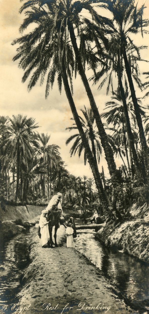 Egipt - Odpoczynek do picia, c1918-c1939. autorstwa Unbekannt