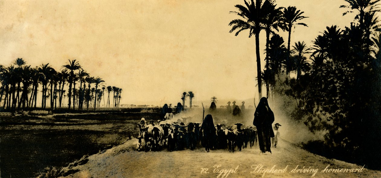 Egipt - Pasterz jadący do domu, c1918-c1939. autorstwa Unbekannt