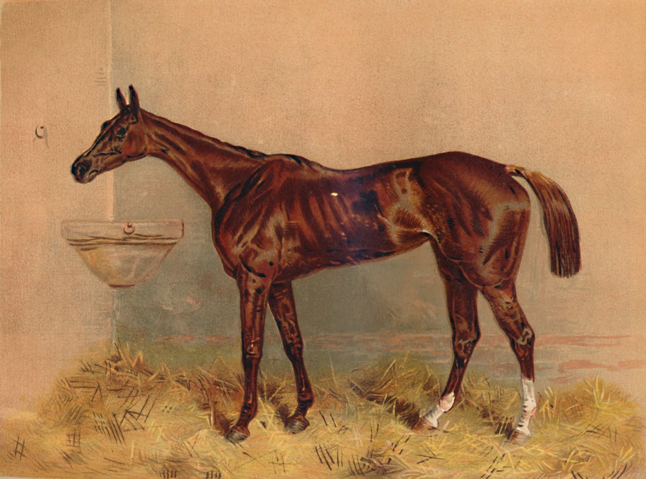 Emblemat Klacz z przeszkodami, c1879. autorstwa Unbekannt