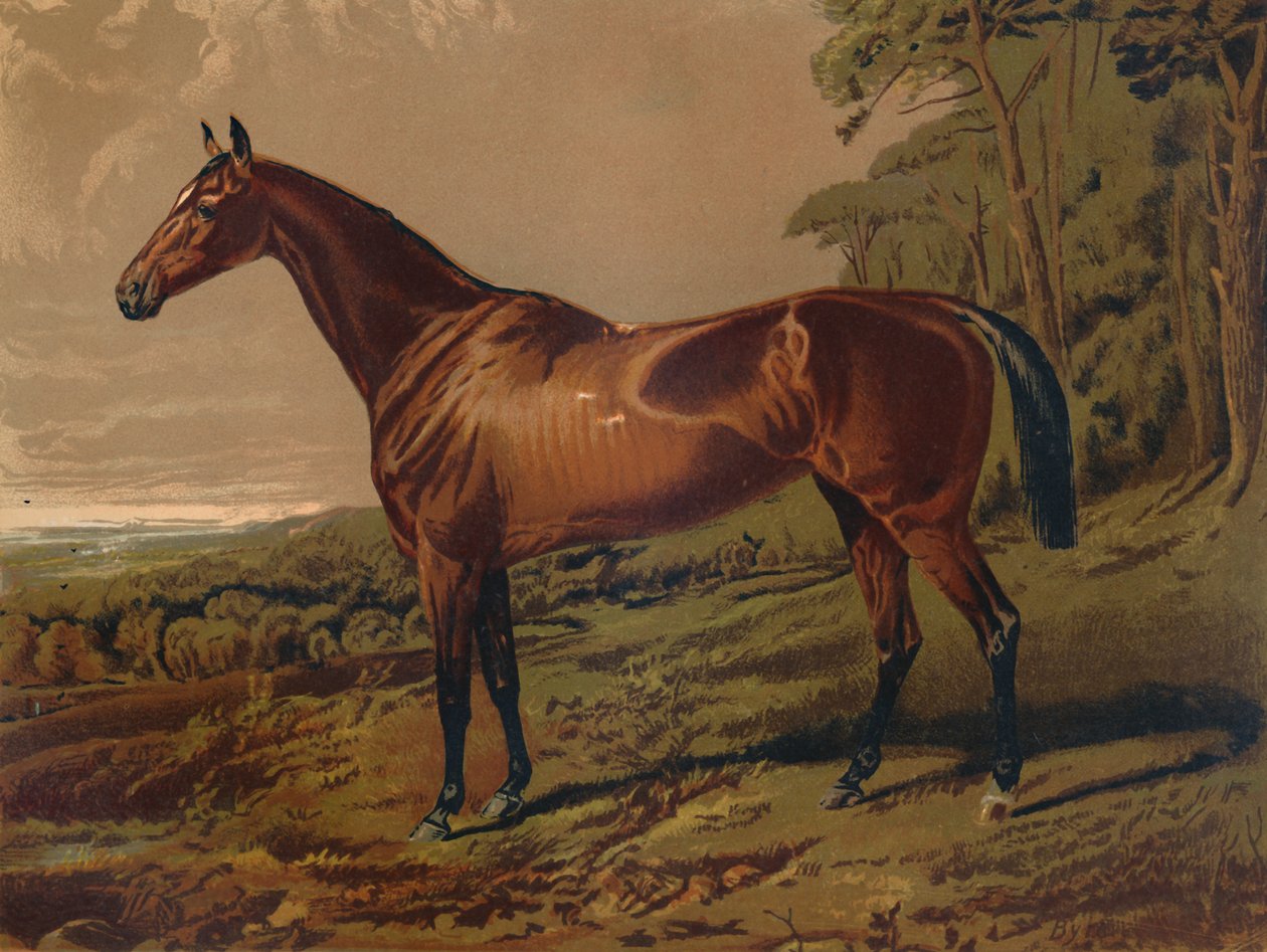 Fair Nel, c1879. autorstwa Unbekannt